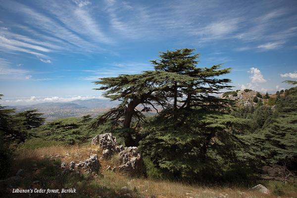 48 Hours in the Shouf - Lebanon Traveler