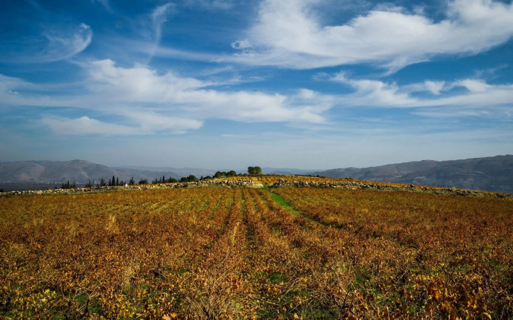 The Ultimate Google Map to Help You Navigate Lebanon - Lebanon Traveler