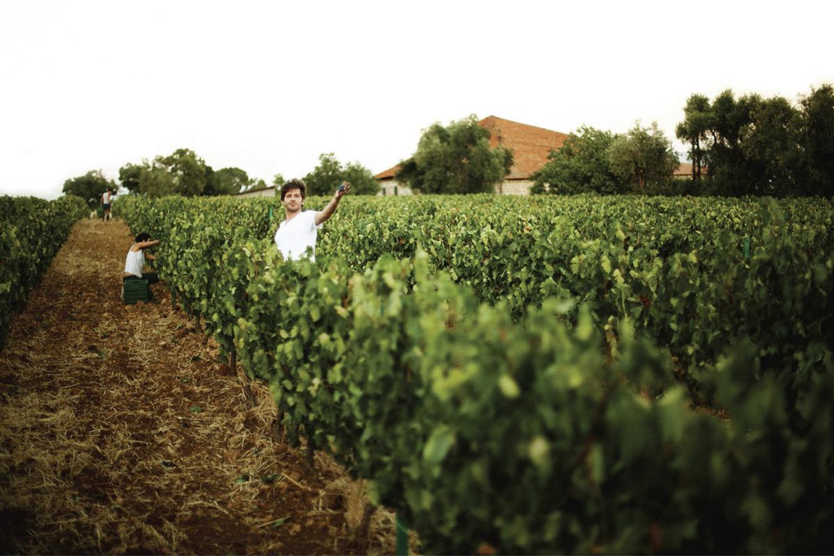 domaine des tourelles winery lebanon traveler chtaura