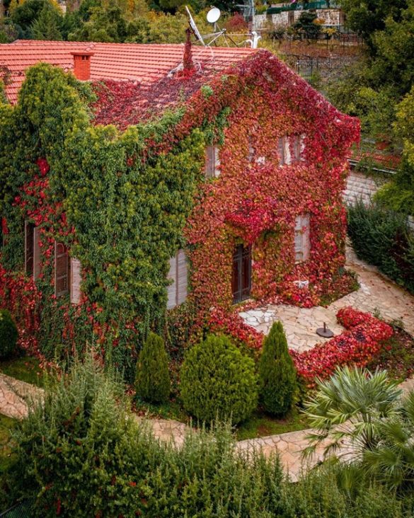 Springtime In Lebanon 10 Photos That Will Take Your Breath Away