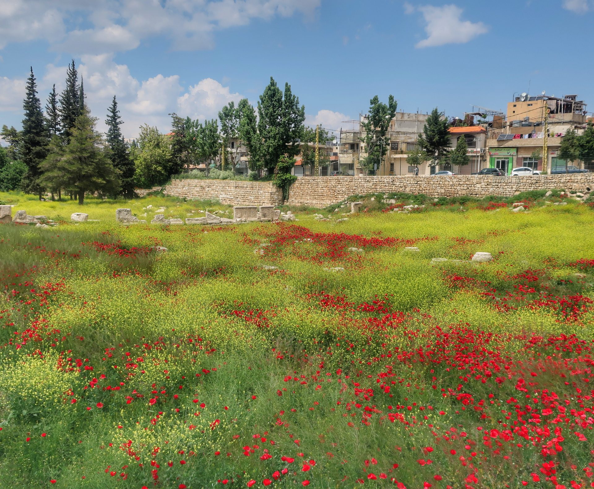 Revealing Spring in Full Bloom in Lebanon - Lebanon Traveler