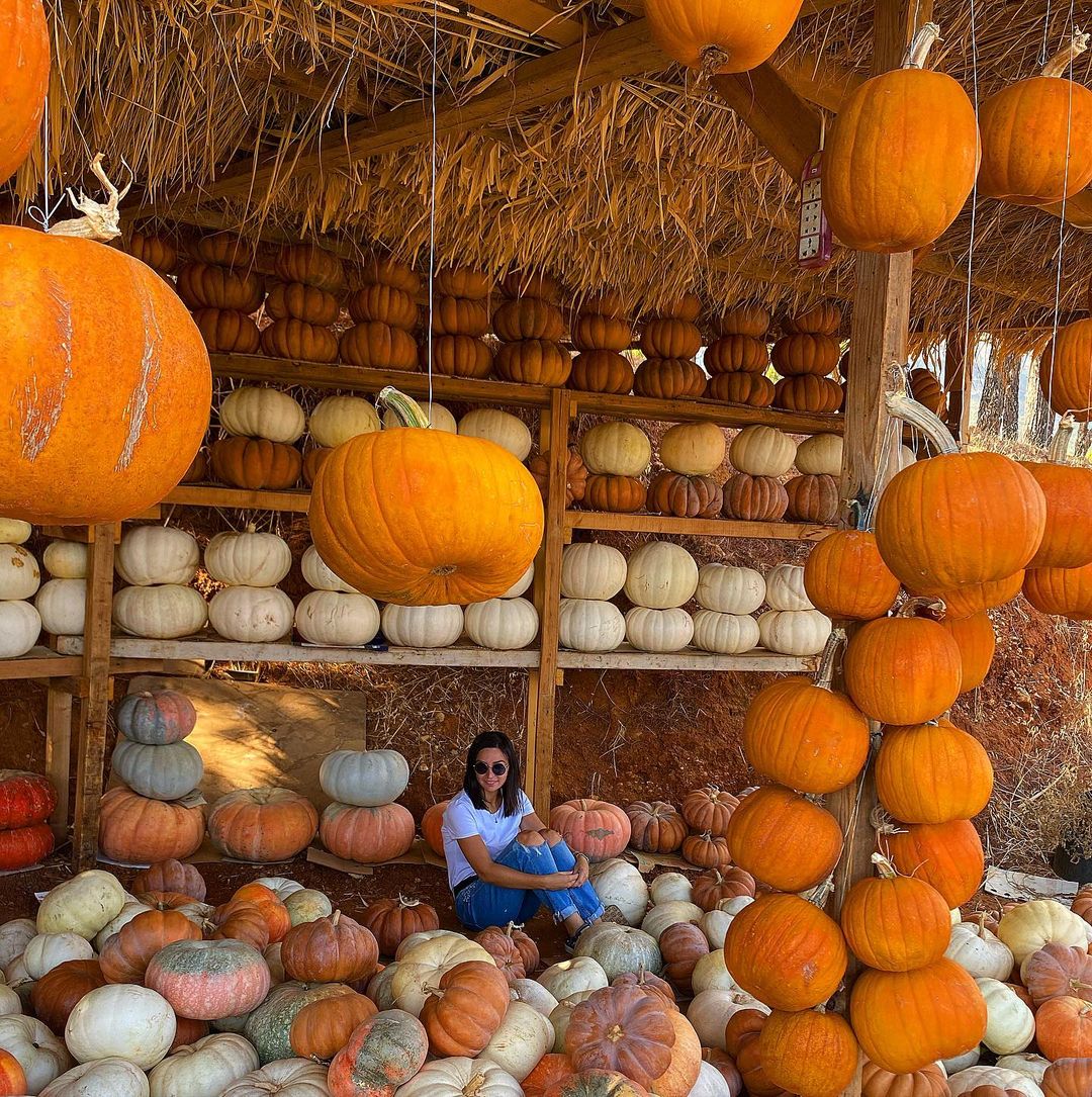 Spooky Halloween Fun in Lebanon for Kids and Adults Lebanon Traveler